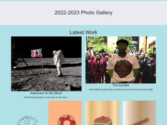 Portfolio screenshot