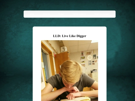 lld screenshot