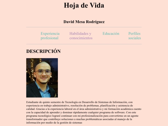 hojaDeVida screenshot