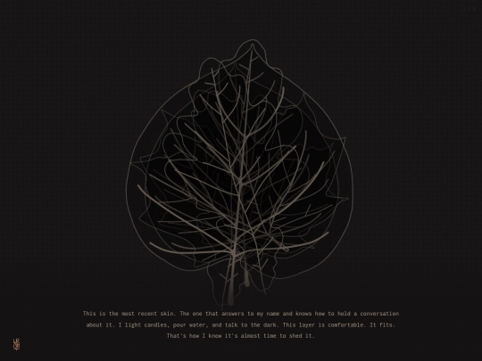 path/skin screenshot