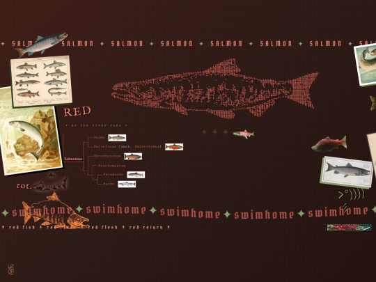 shrines/salmon screenshot