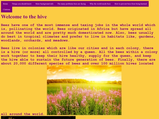 page2 screenshot