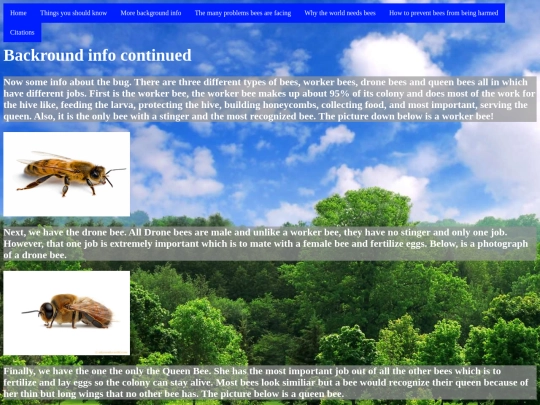 page3 screenshot
