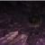 baguettster.neocities.org avatar