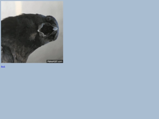 bird_jumpscare screenshot