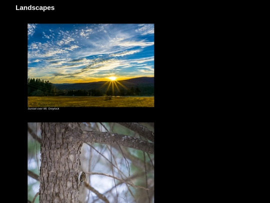 Landscapes screenshot