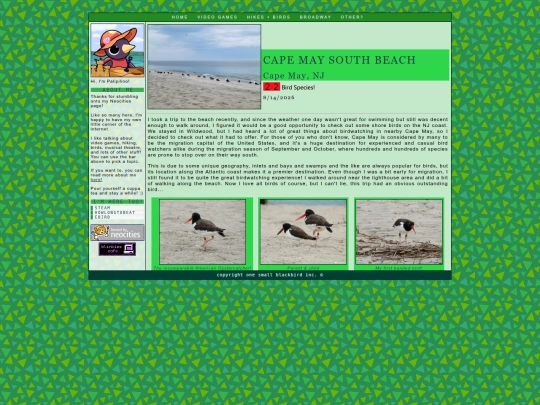 hikes/cape-may-south-beach-0826 screenshot