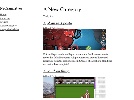categories/a-new-category screenshot