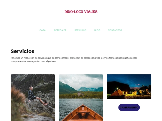 css/services screenshot
