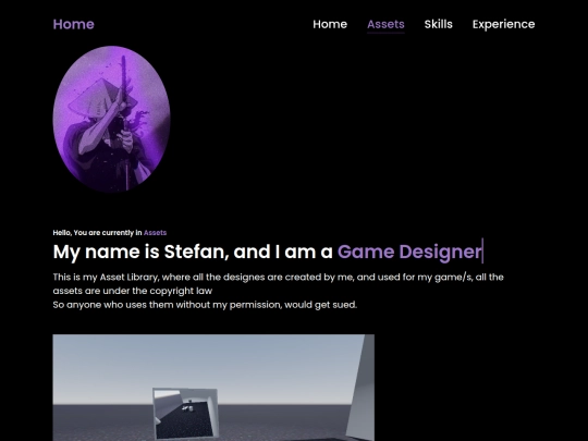 website assignment/assets screenshot