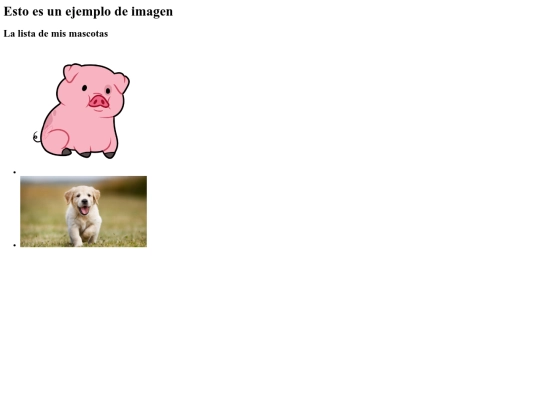 wenconimagenes screenshot