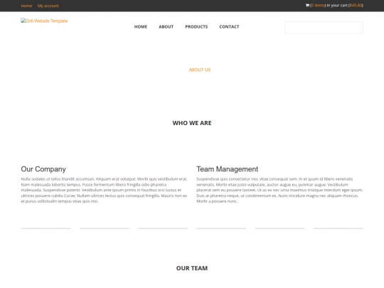 about-us screenshot