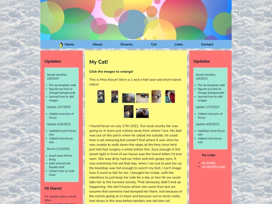 Cat screenshot