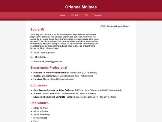 cv/curriculum screenshot