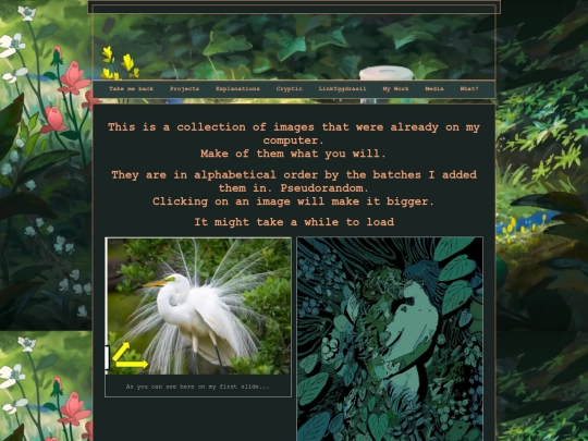 The Chaos of My .jpg Folders screenshot