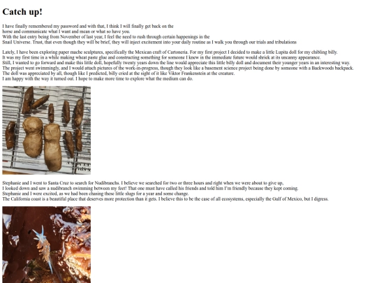 landing/journal/entry_0004 screenshot