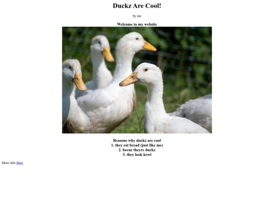 DuckzAreCool screenshot
