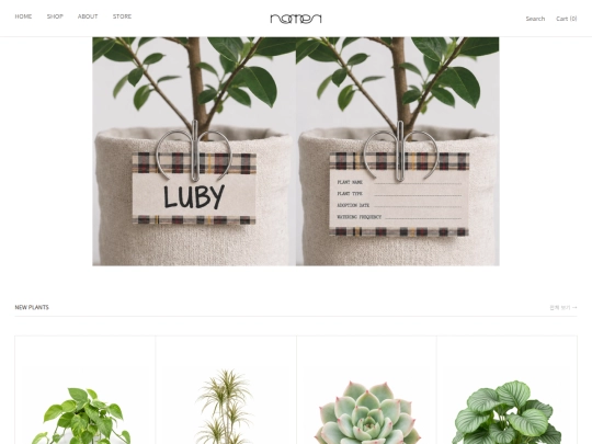 nomen.web screenshot