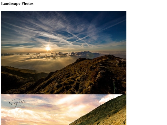 gallery screenshot
