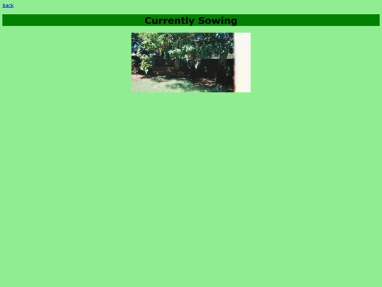 seeds screenshot