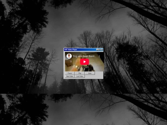 media_player screenshot
