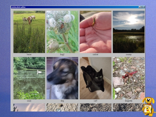 nature screenshot