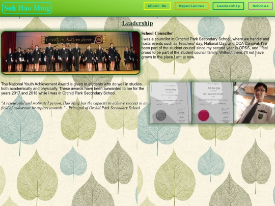 lead screenshot