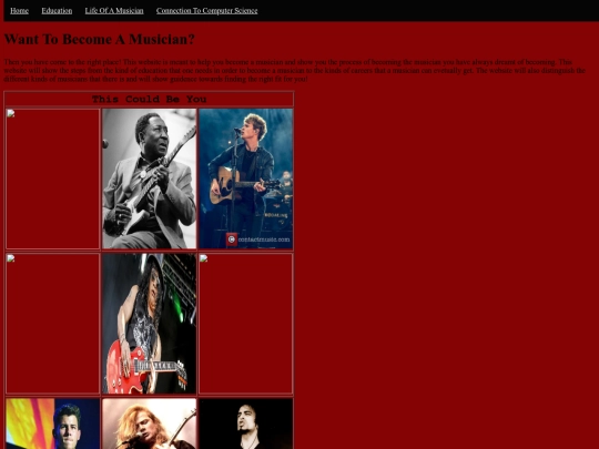 musicancareer screenshot