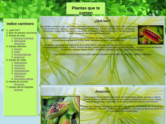 primeraWeb screenshot