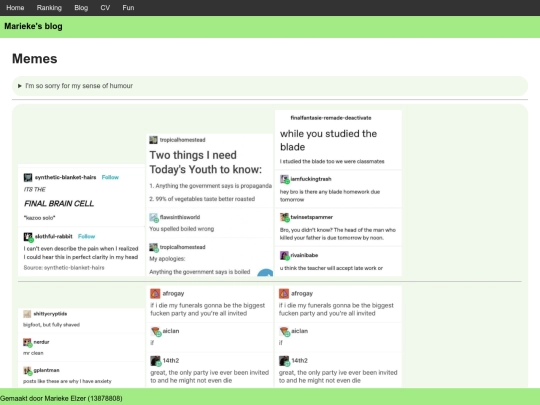 Site/fun screenshot