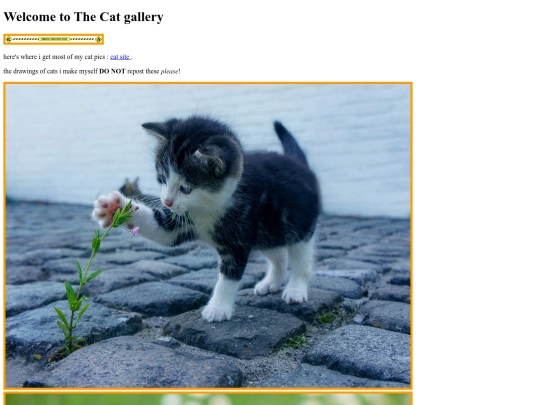 catgalleryt screenshot