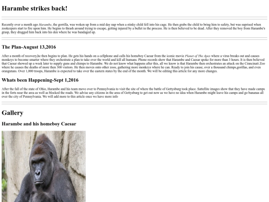 NewsArticle screenshot