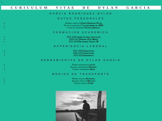 mi_sitio/curriculum screenshot