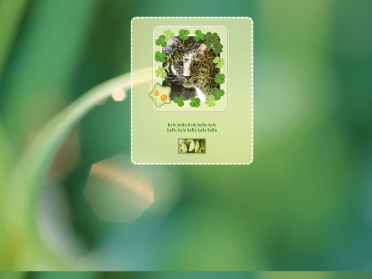 leopard1 screenshot