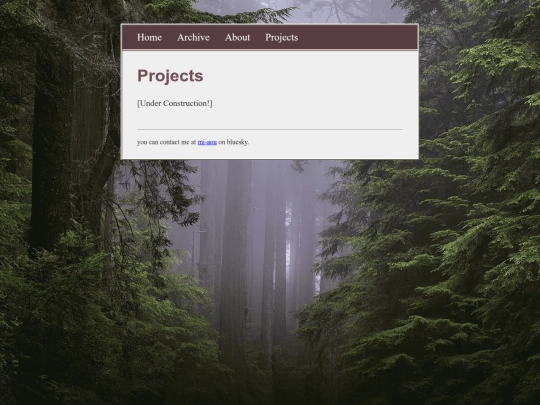 projects screenshot