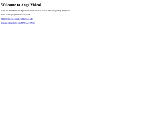 angelvideo screenshot