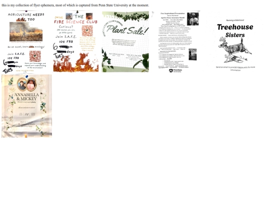 flyer_ephemera screenshot