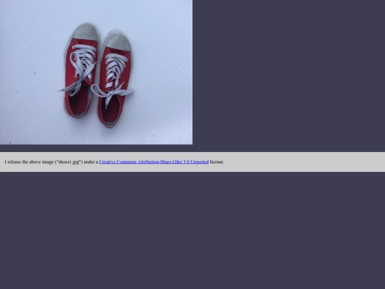 assets/shoes1 screenshot