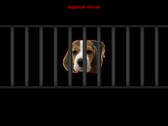 door1 screenshot
