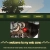 CATMAGIC avatar