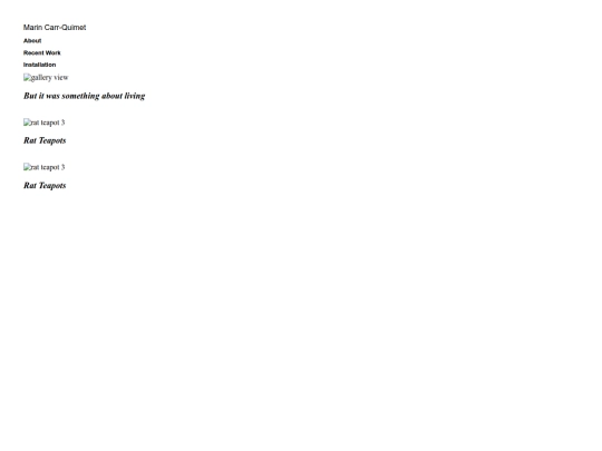 projects screenshot