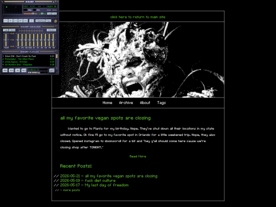 blog screenshot