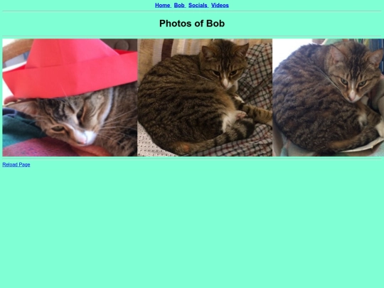 bobphotos screenshot