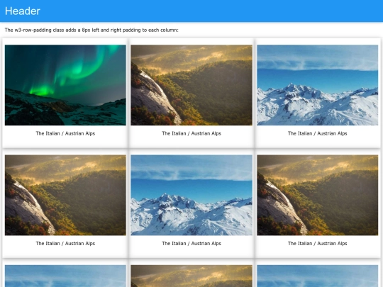 grid screenshot