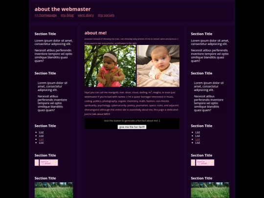 webmaster screenshot