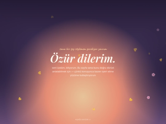 özr screenshot