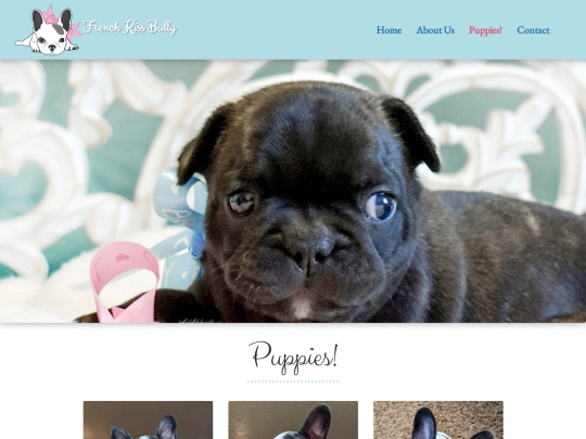 Final_French_Bully/puppies screenshot