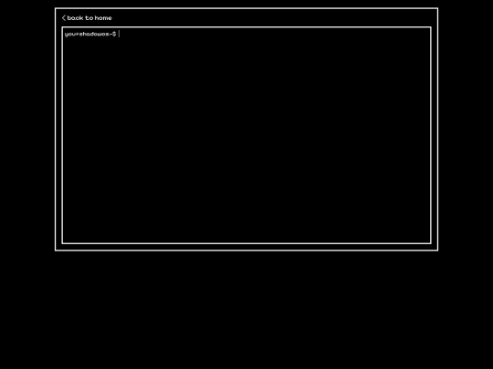 pages/console screenshot