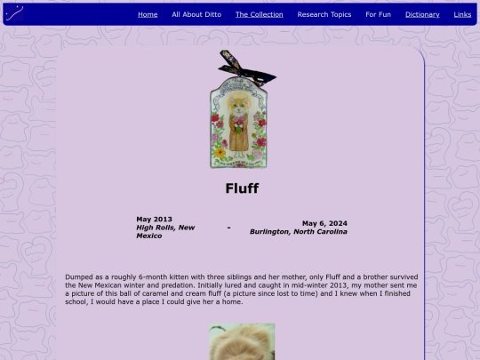 Fluff/fluff-bio screenshot