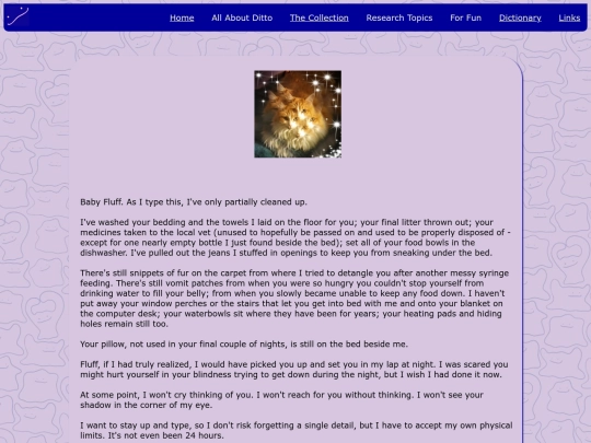 Fluff/fluff-stuff screenshot